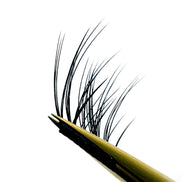 Camellia Pure Non-Glue Eyelashes