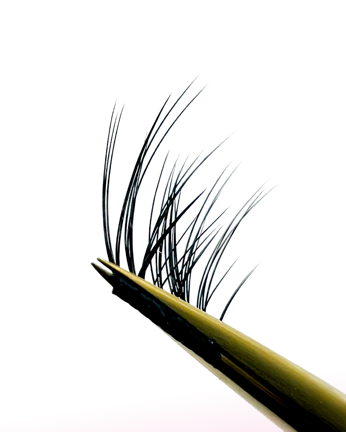 Camellia Pure Non-Glue Eyelashes